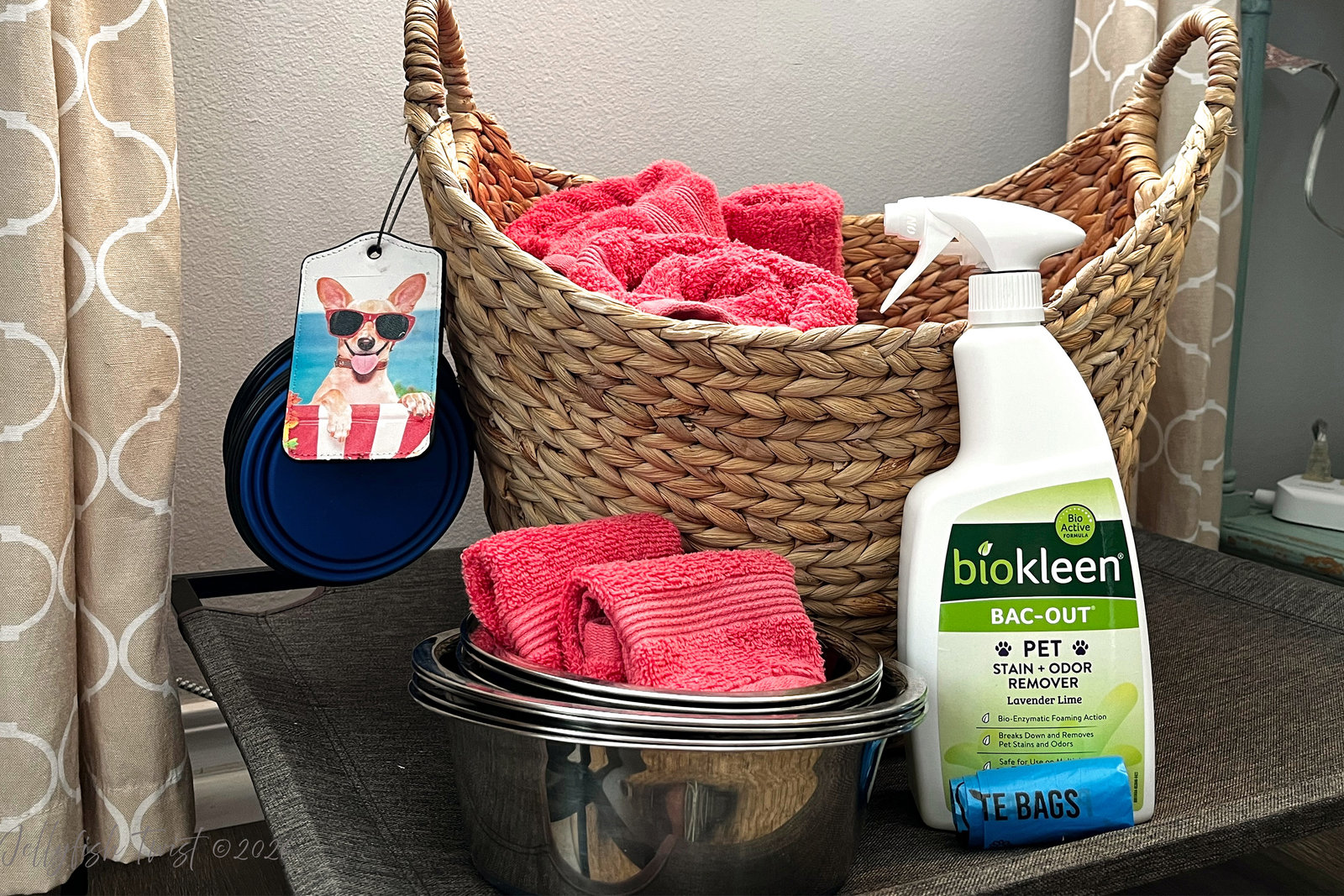 Dog towels, bowls, and supplies at Jellyfish Twist